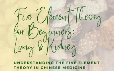 Five Element Theory for Beginners: Lung & Kidney Connection