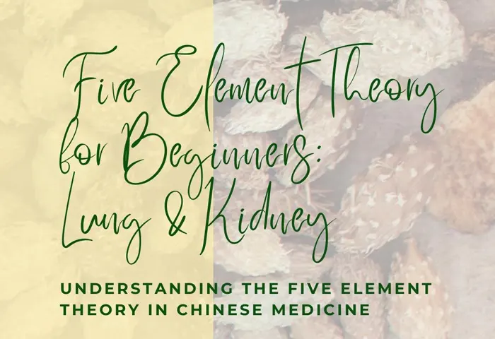 five element theory