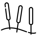 acupuncture-150×150